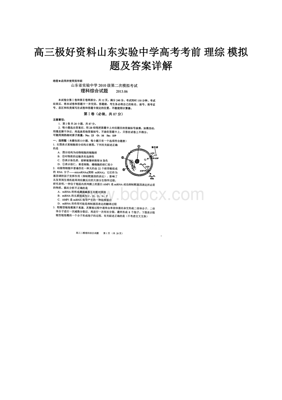 高三极好资料山东实验中学高考考前 理综 模拟题及答案详解.docx_第1页