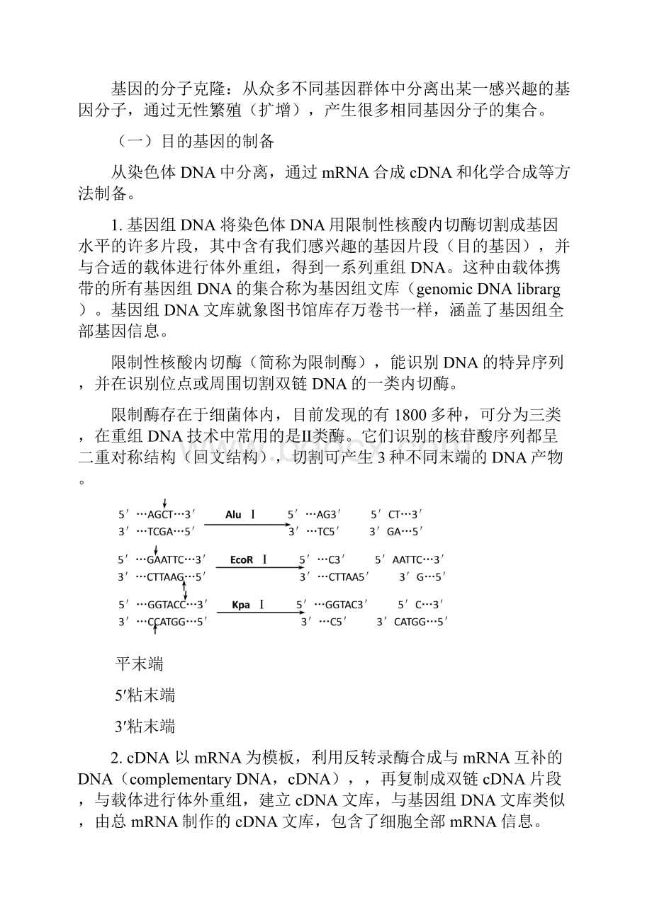 07分子生物学技术.docx_第3页