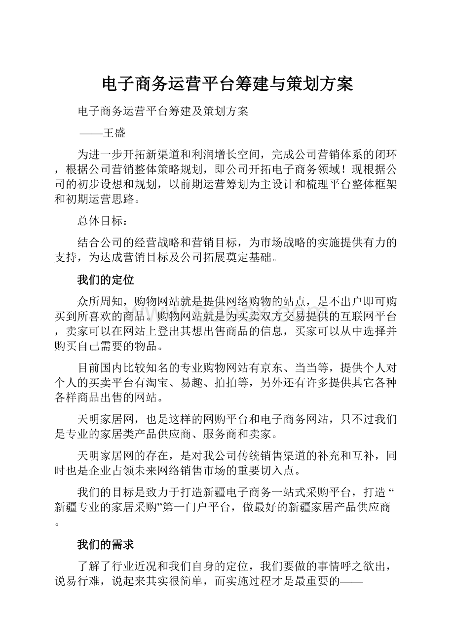 电子商务运营平台筹建与策划方案.docx_第1页