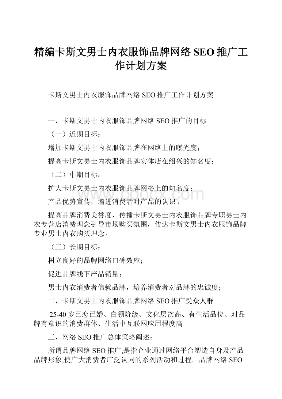 精编卡斯文男士内衣服饰品牌网络SEO推广工作计划方案.docx