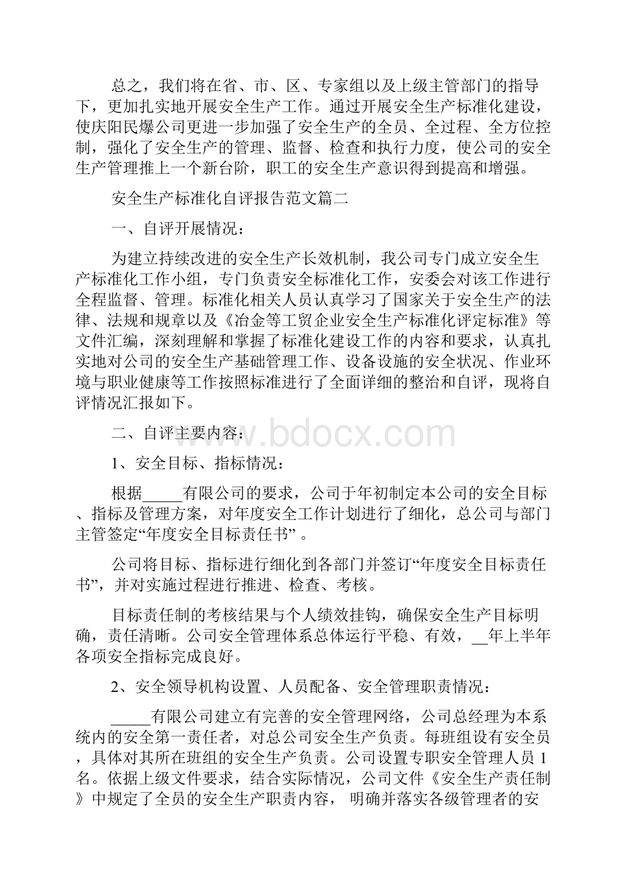 安全生产标准化自评报告.docx_第3页