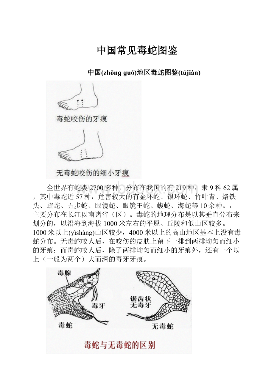 中国常见毒蛇图鉴.docx