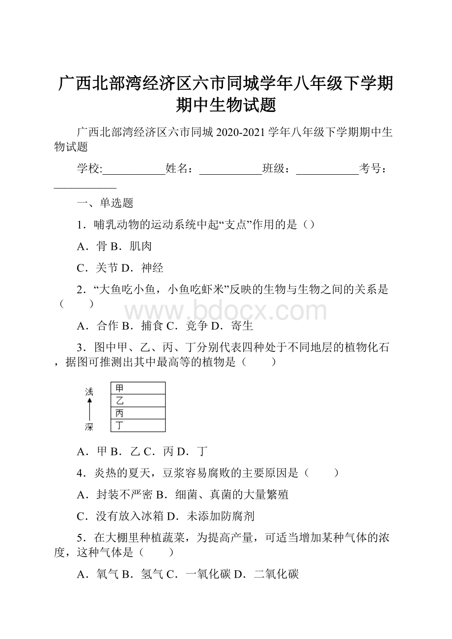 广西北部湾经济区六市同城学年八年级下学期期中生物试题.docx