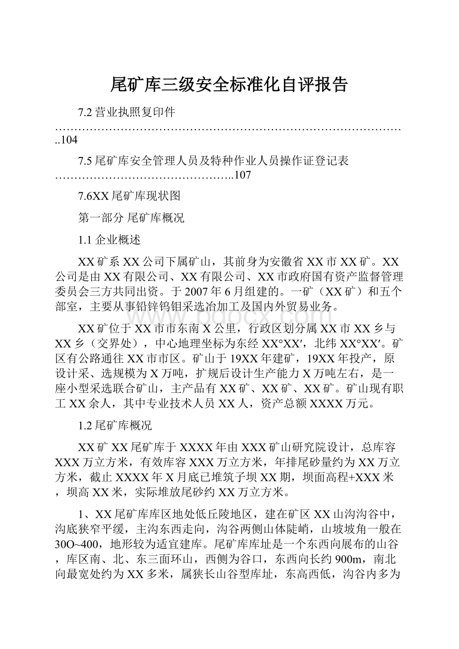 尾矿库三级安全标准化自评报告.docx