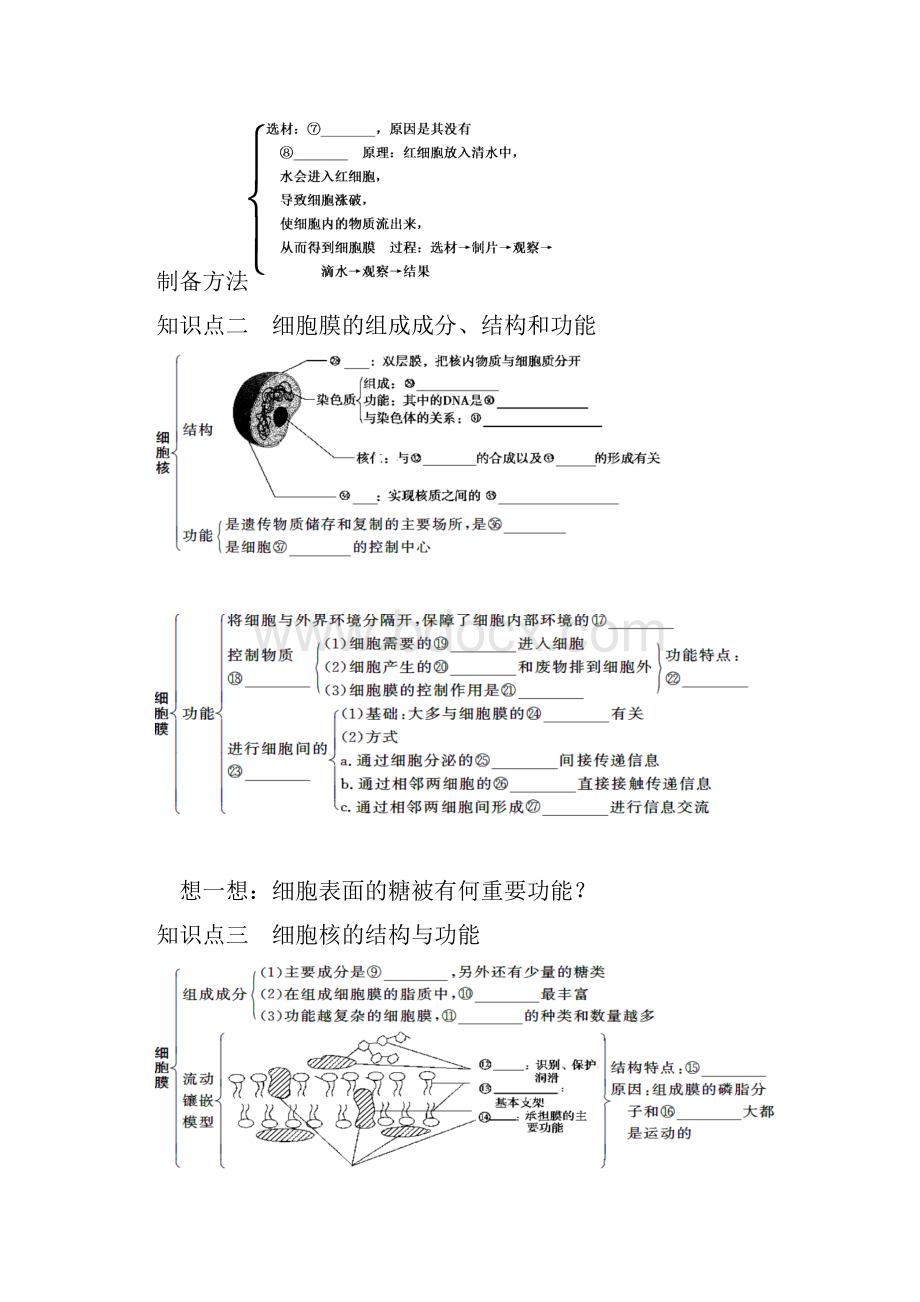 高三生物一轮复习知识点归纳与总结21 细胞膜与细胞核.docx_第3页