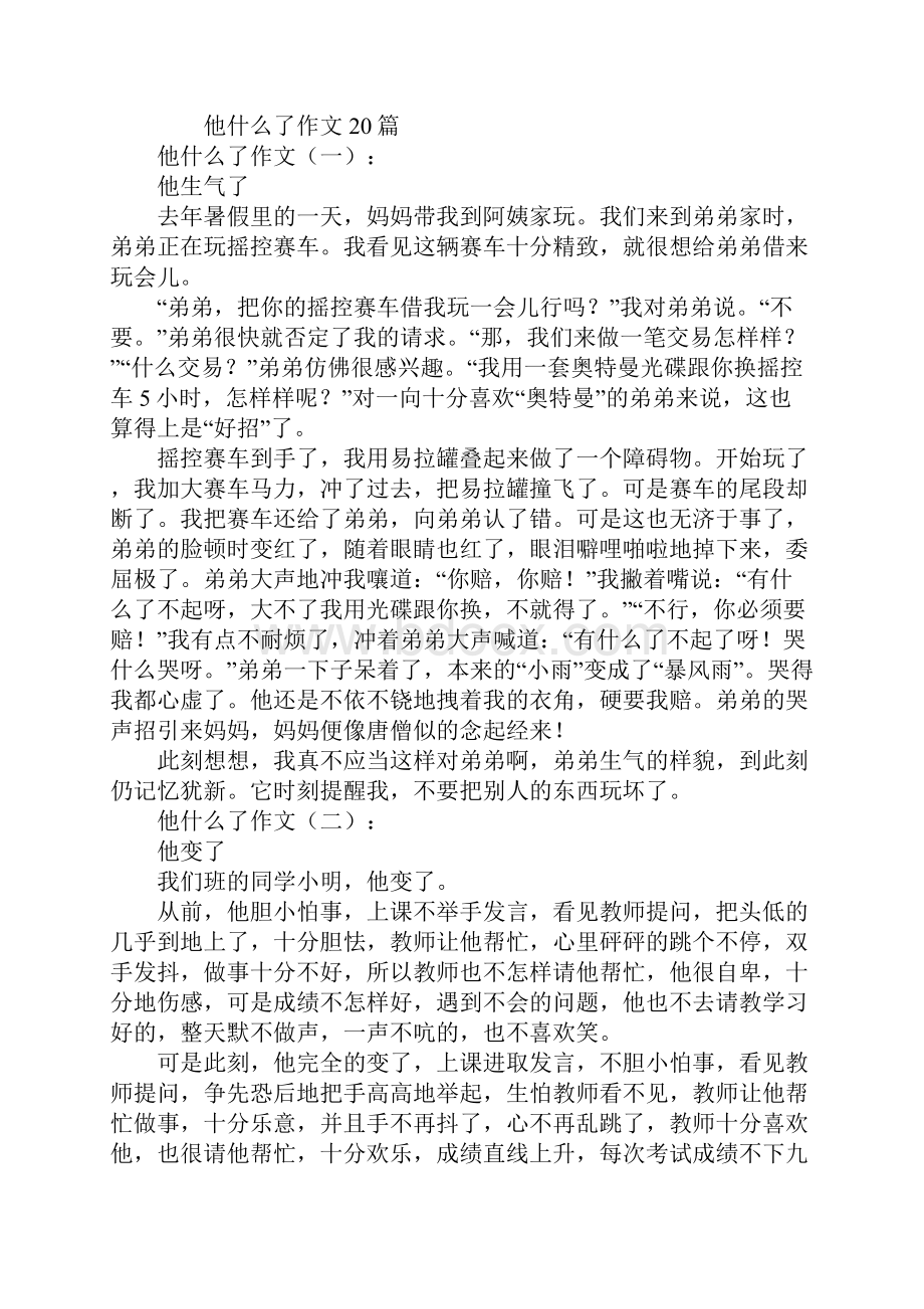 他什么了作文.docx_第2页