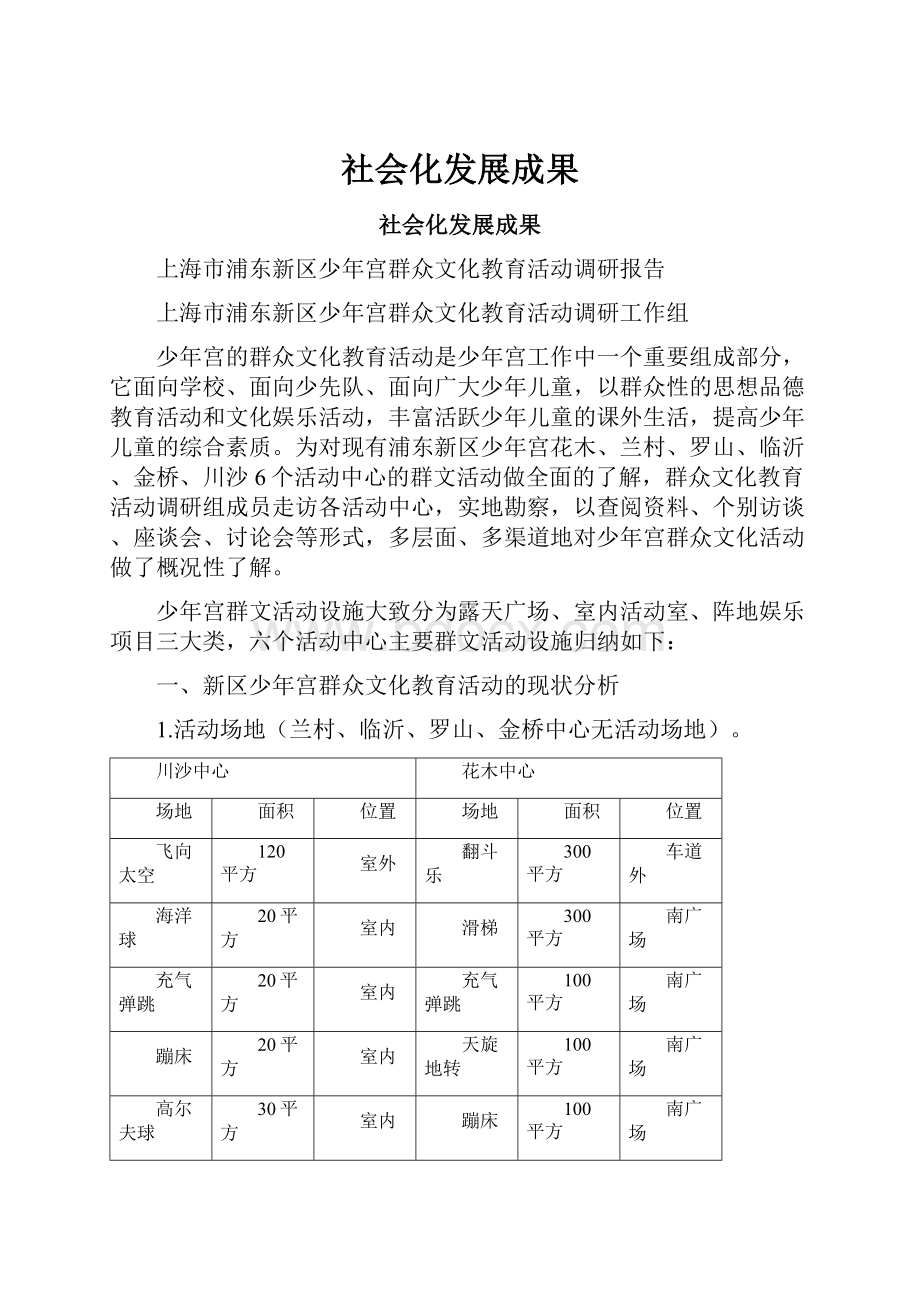 社会化发展成果.docx