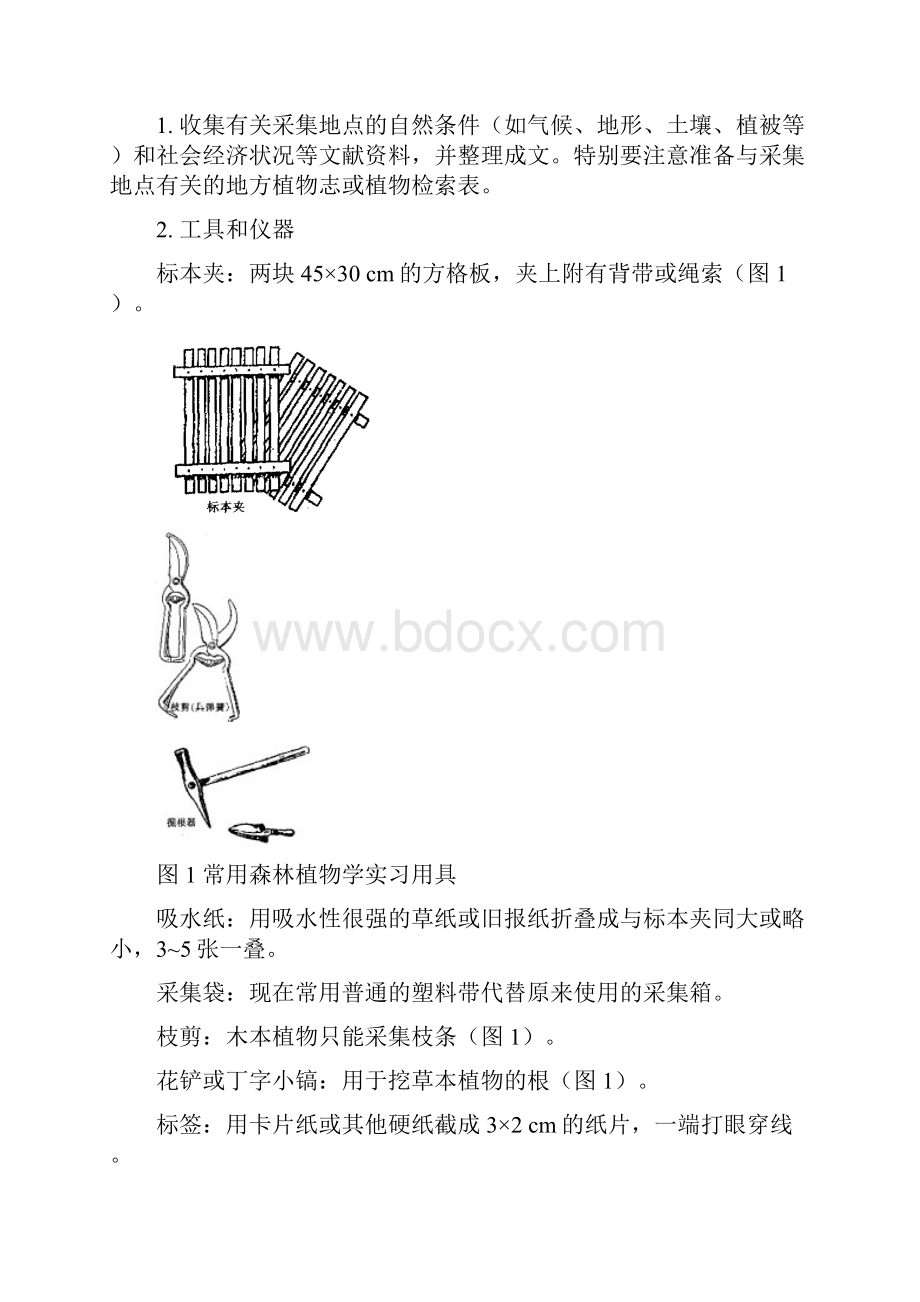 树木学实习指导书.docx_第3页