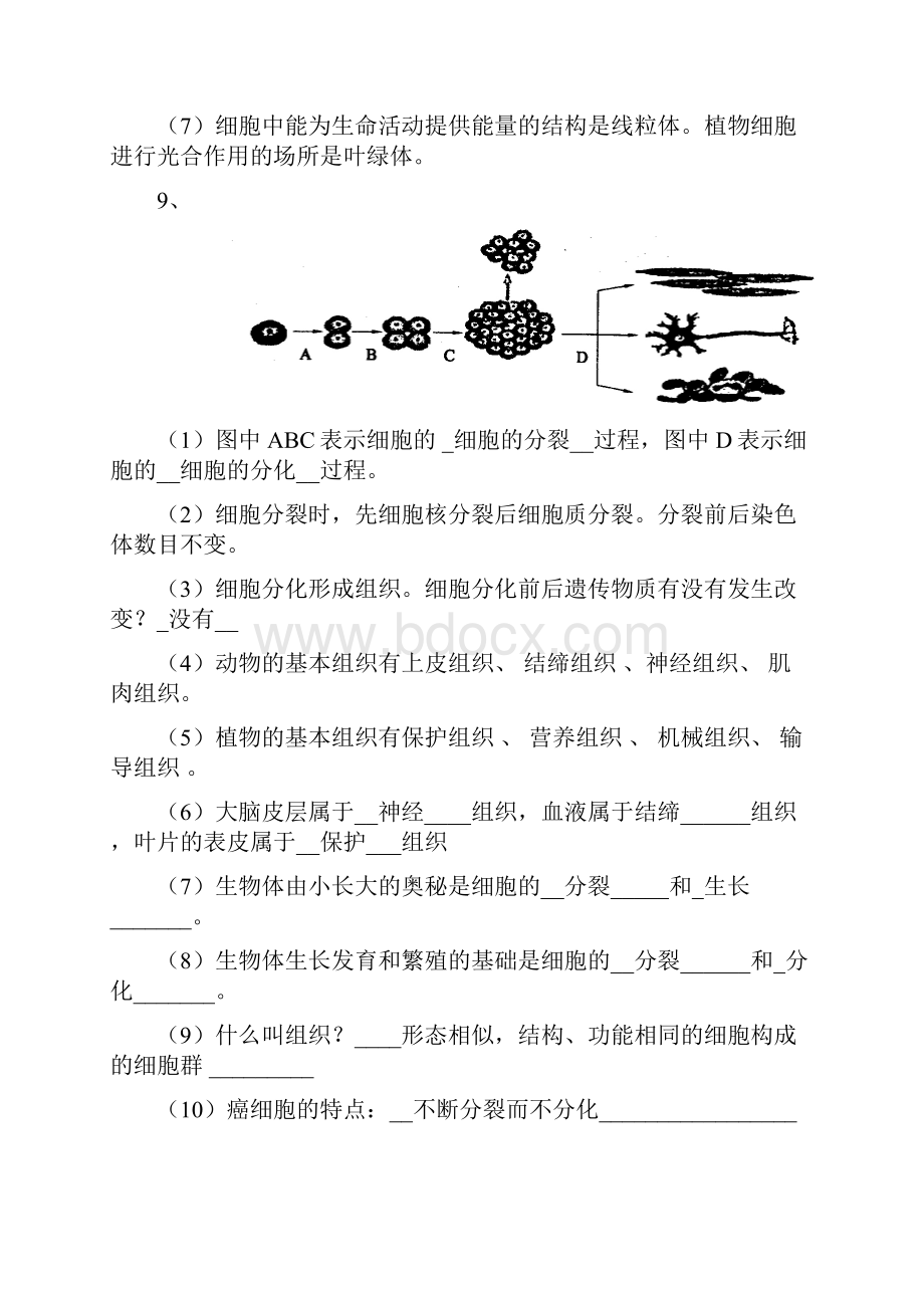 济南生物七上专题复习提纲带答案分析.docx_第3页