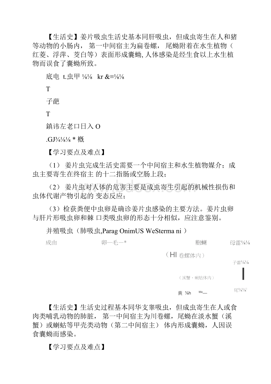 人体寄生虫学生活史图.docx_第2页