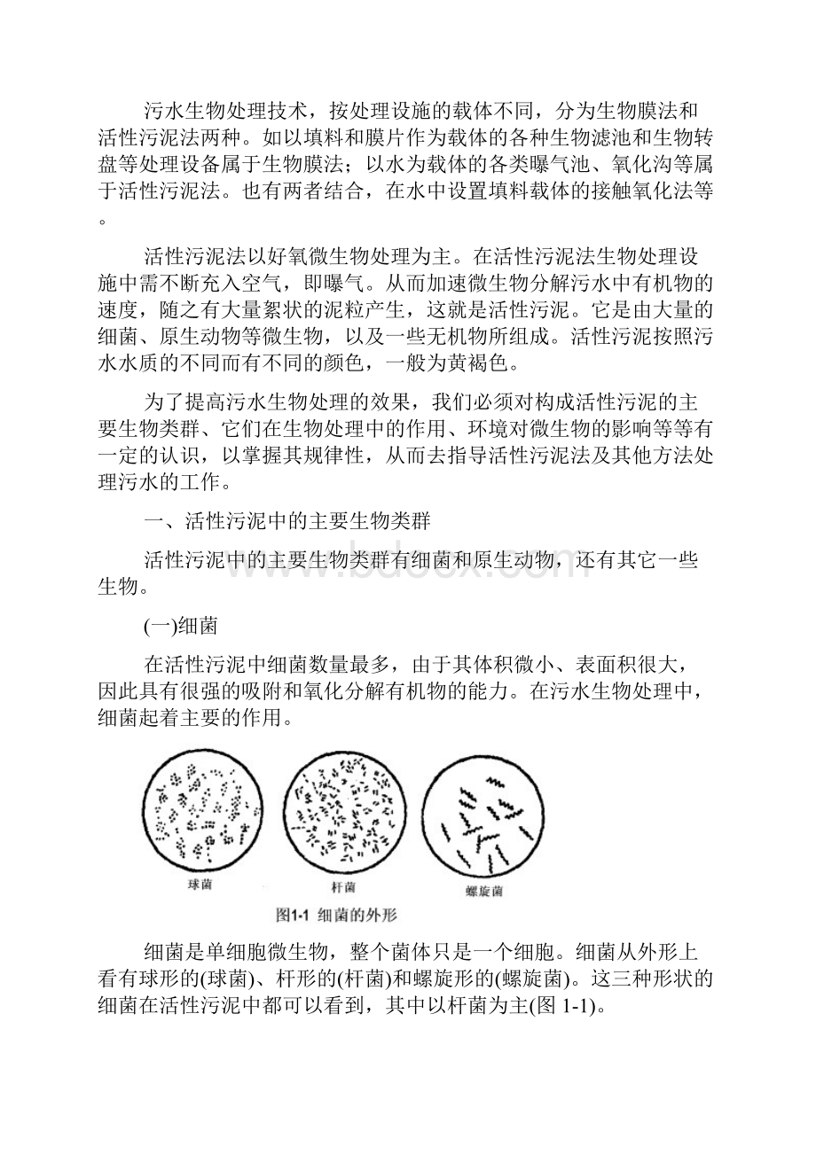 活性污泥微生物学 实际经验总结 绝对实用.docx_第2页