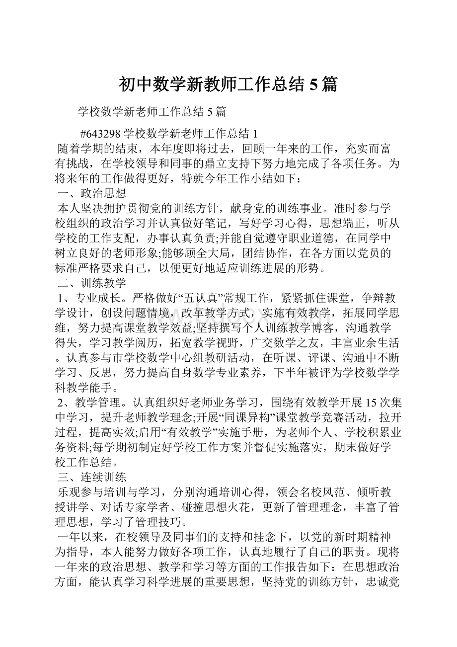 初中数学新教师工作总结5篇.docx