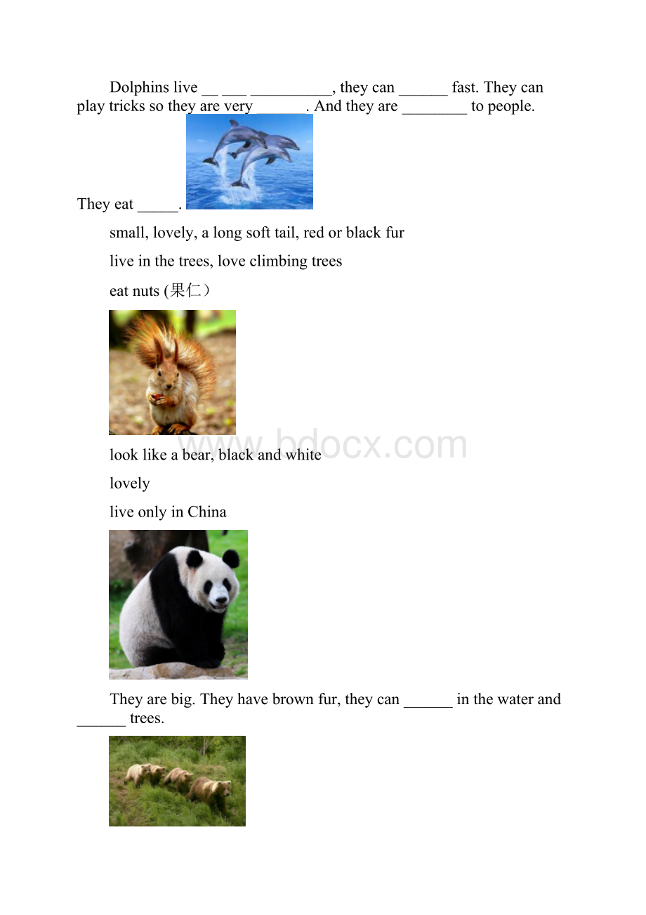 8A Unit 5Wild animals 教案.docx_第3页