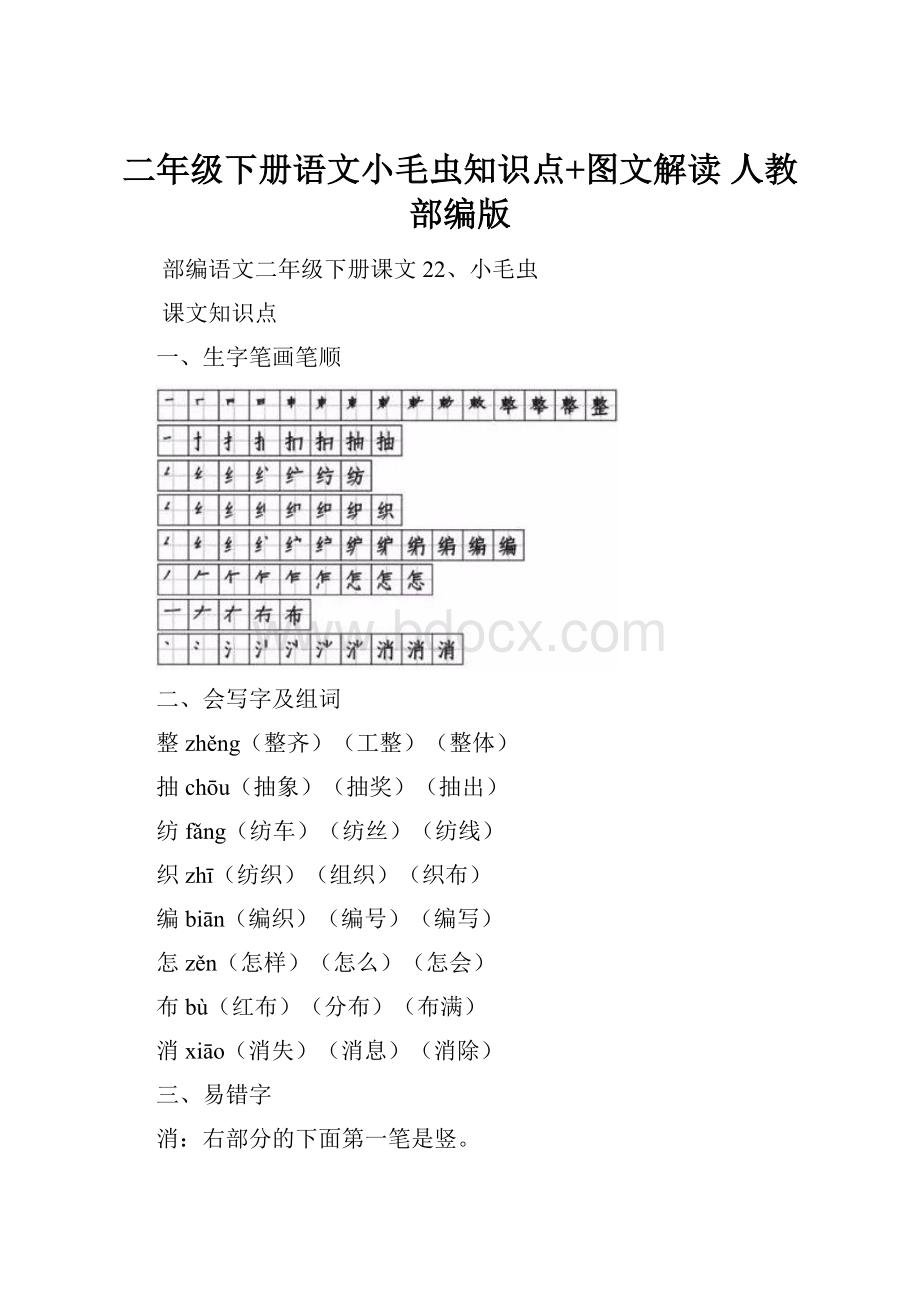 二年级下册语文小毛虫知识点+图文解读人教部编版.docx