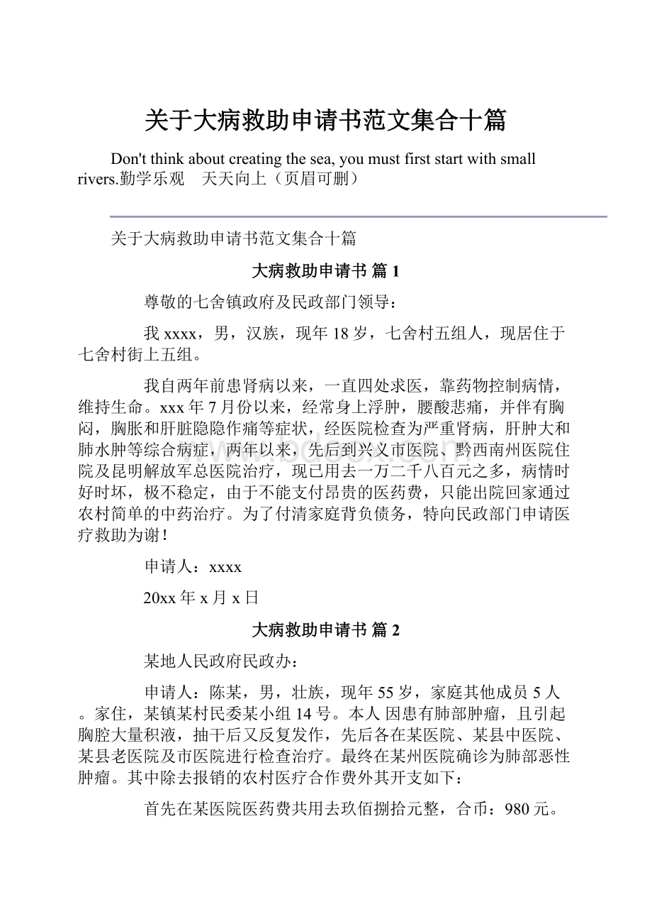 关于大病救助申请书范文集合十篇.docx