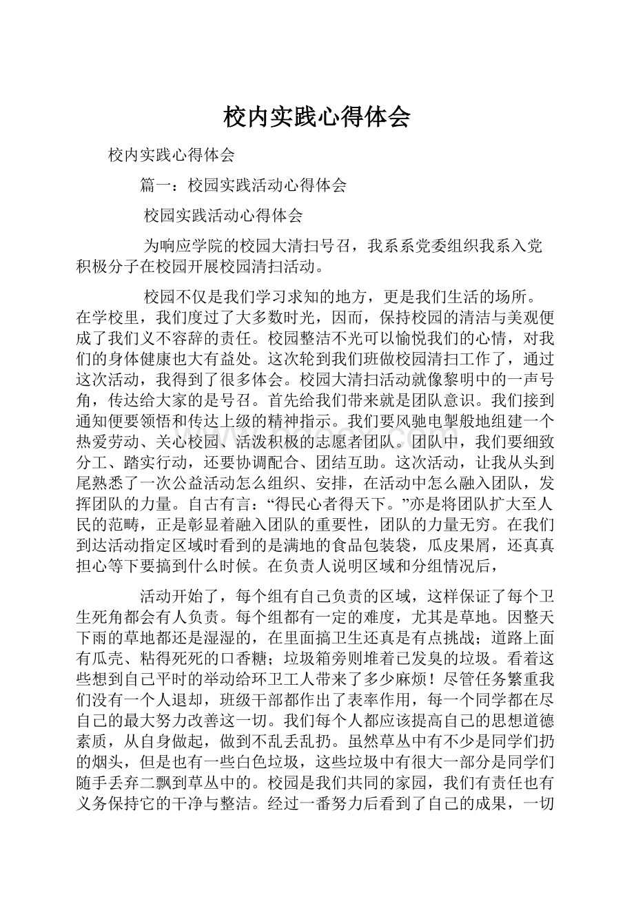 校内实践心得体会.docx