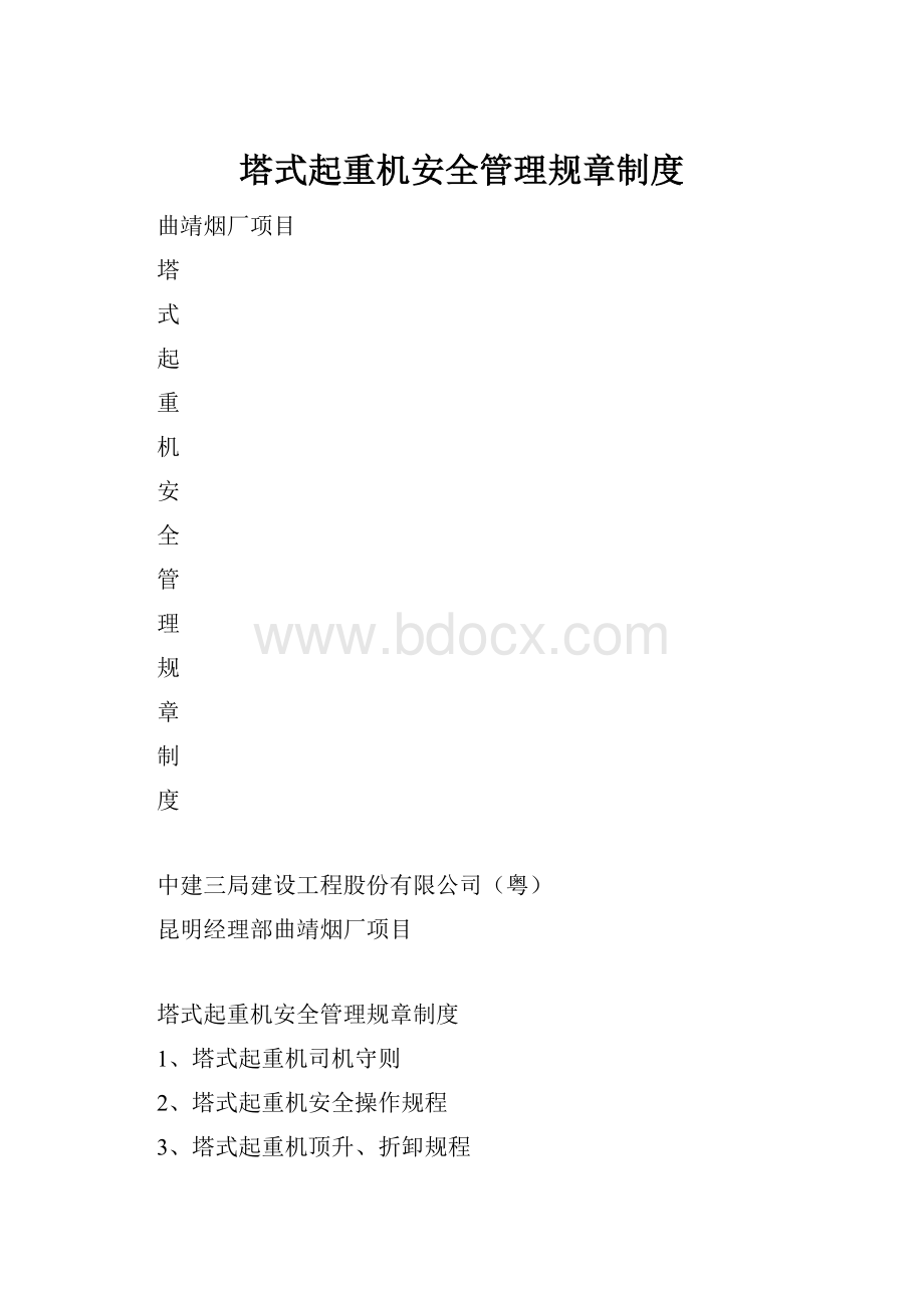 塔式起重机安全管理规章制度.docx