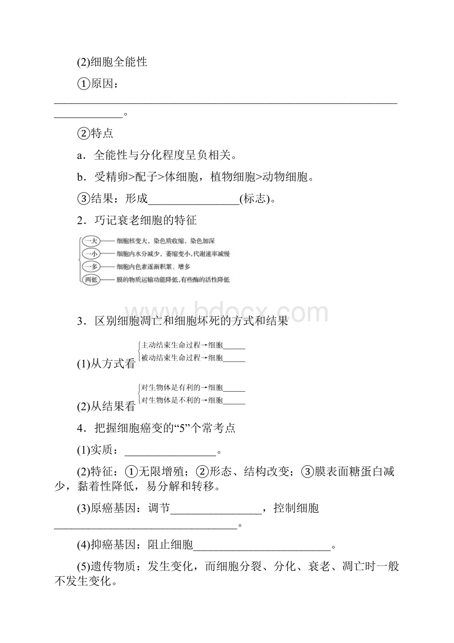 步步高版高考生物全国专用大二轮总复习与增分策略 专题三必考点10.docx_第2页