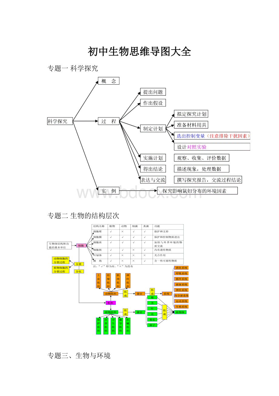 初中生物思维导图大全.docx_第1页