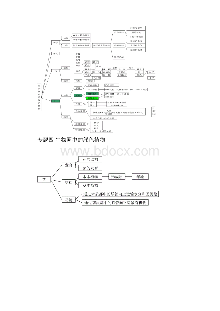 初中生物思维导图大全.docx_第3页