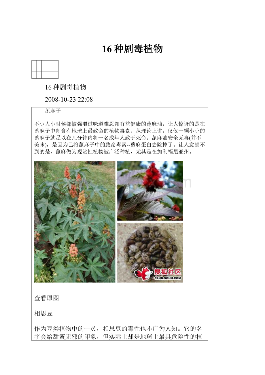 16种剧毒植物.docx_第1页