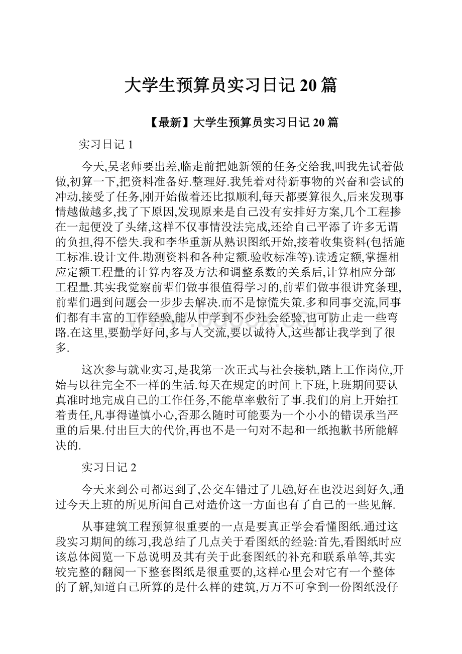 大学生预算员实习日记20篇.docx