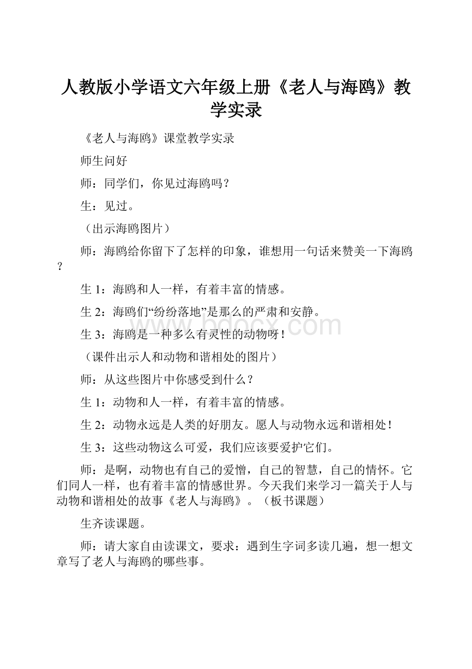 人教版小学语文六年级上册《老人与海鸥》教学实录.docx