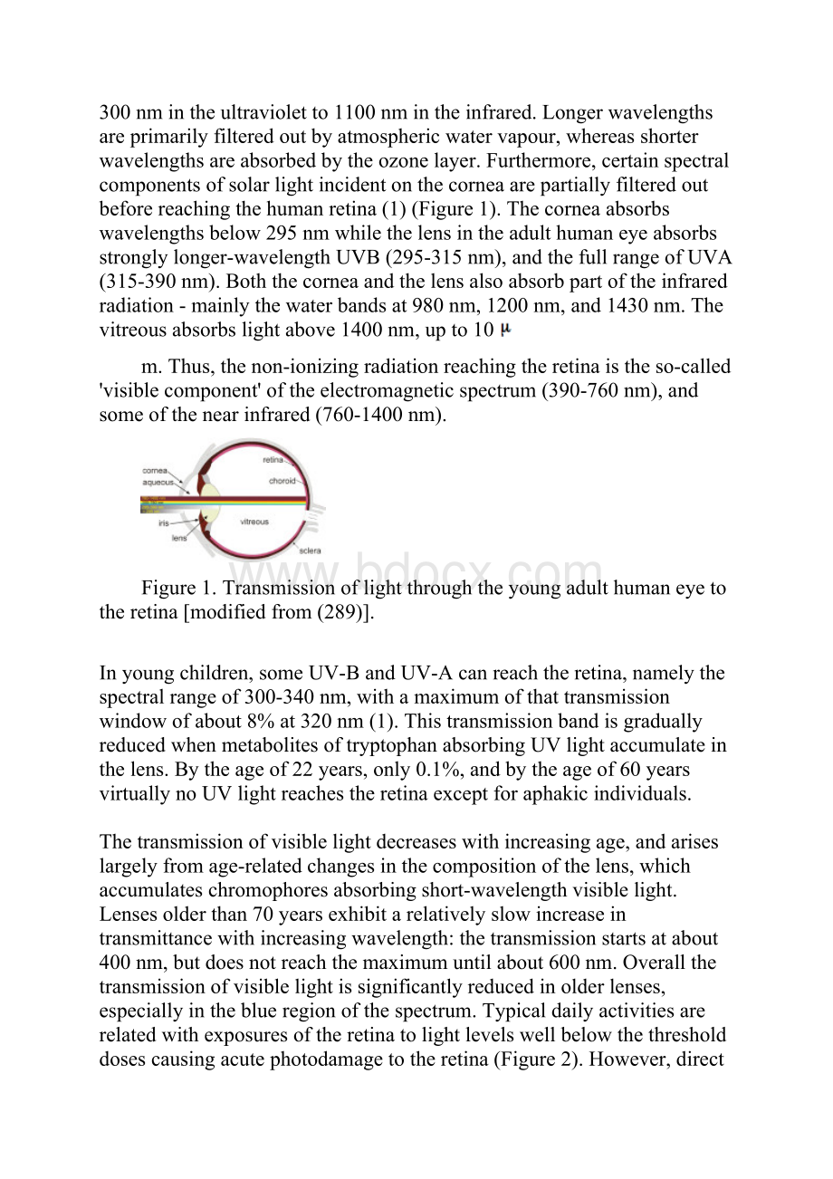 PHOTOBIOLOGY OF THE RETINA.docx_第2页