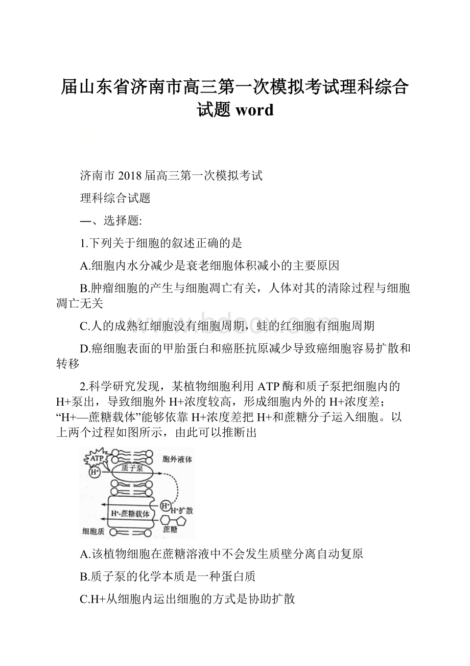 届山东省济南市高三第一次模拟考试理科综合试题 word.docx