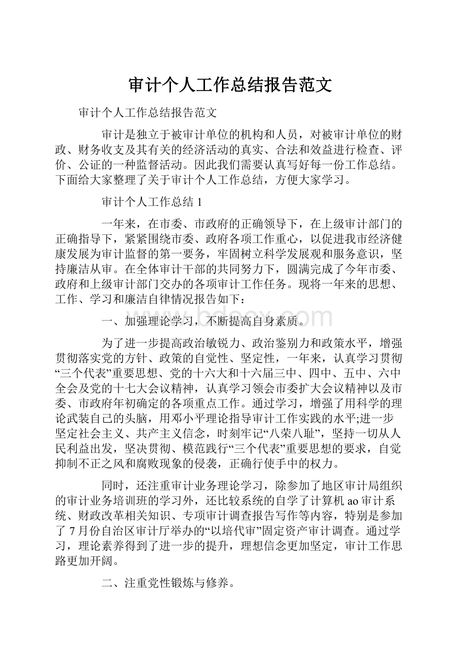 审计个人工作总结报告范文.docx