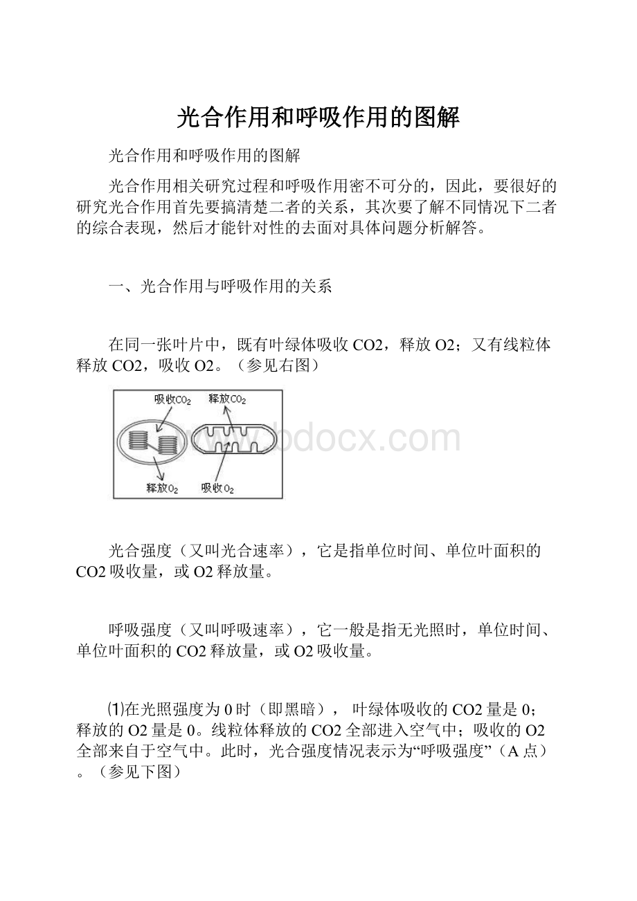 光合作用和呼吸作用的图解.docx