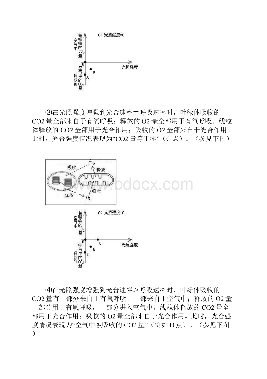 光合作用和呼吸作用的图解.docx_第3页