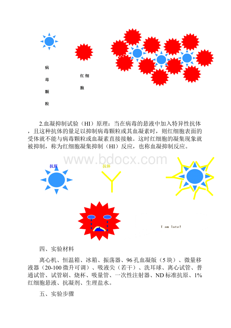 新城疫抗体水平检测定稿版.docx_第2页