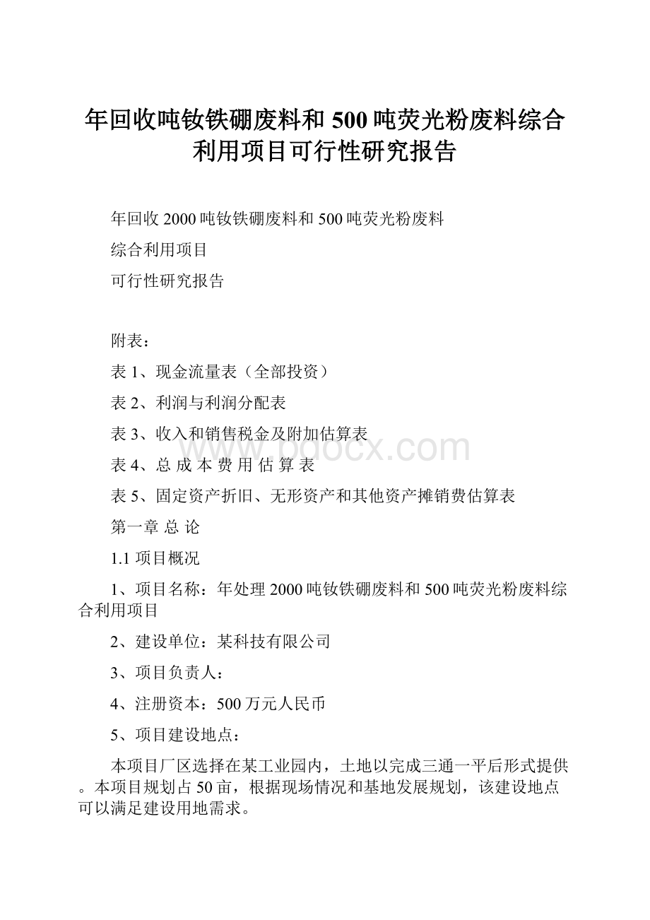 年回收吨钕铁硼废料和500吨荧光粉废料综合利用项目可行性研究报告.docx