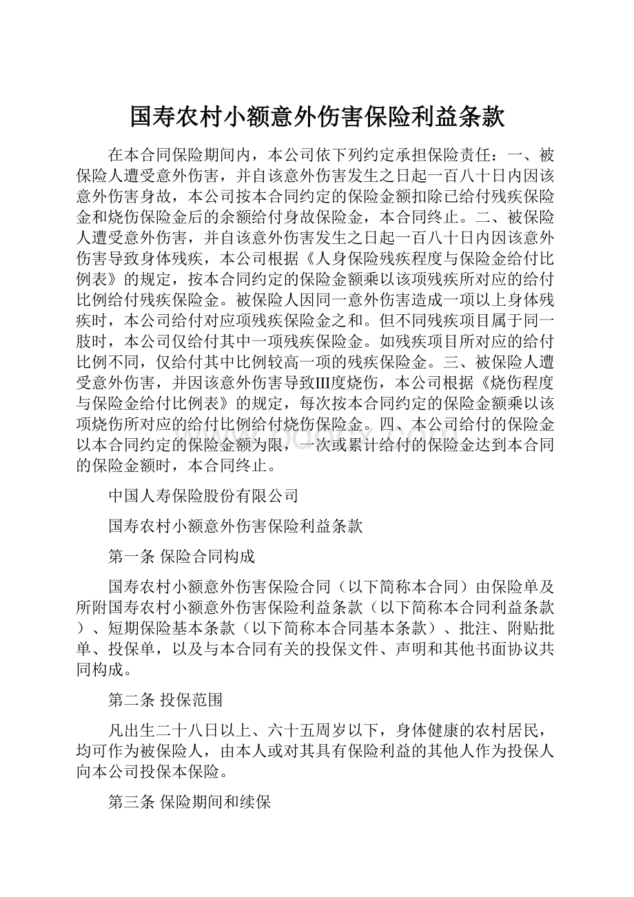 国寿农村小额意外伤害保险利益条款.docx