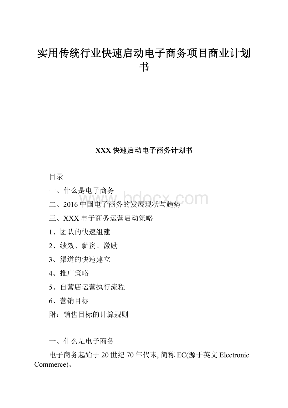 实用传统行业快速启动电子商务项目商业计划书.docx_第1页