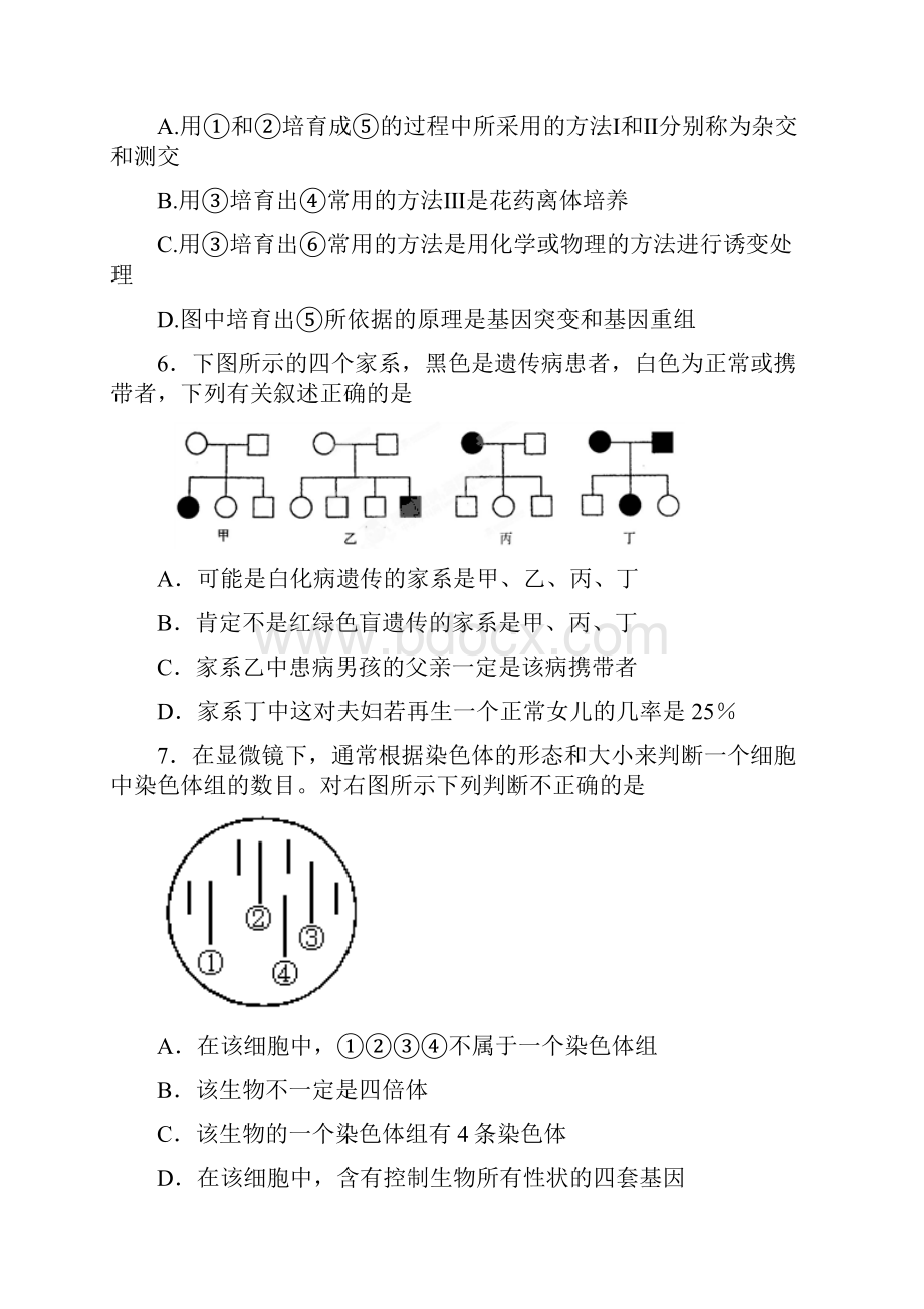 新人教版高中生物必修二第五章基因的突变及其它变异学年能力提升检测试题doc.docx_第3页