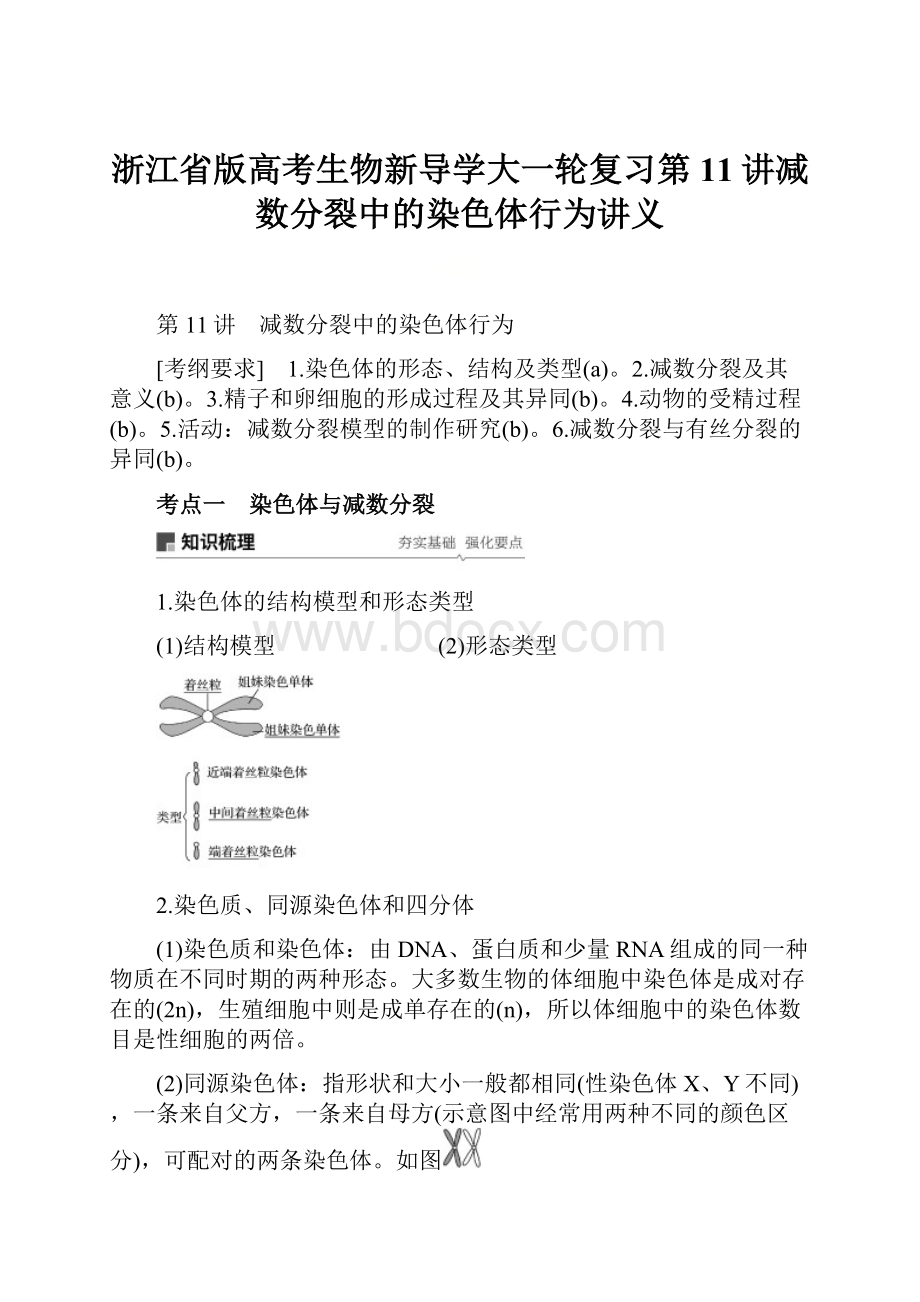 浙江省版高考生物新导学大一轮复习第11讲减数分裂中的染色体行为讲义.docx