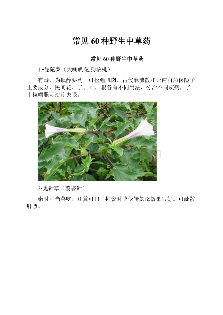 常见60种野生中草药.docx_第1页