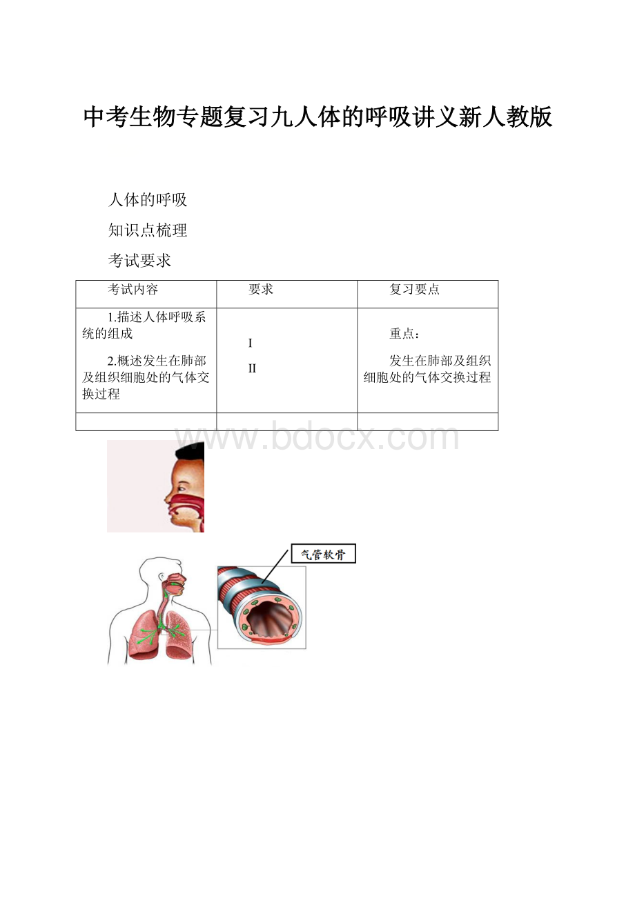 中考生物专题复习九人体的呼吸讲义新人教版.docx