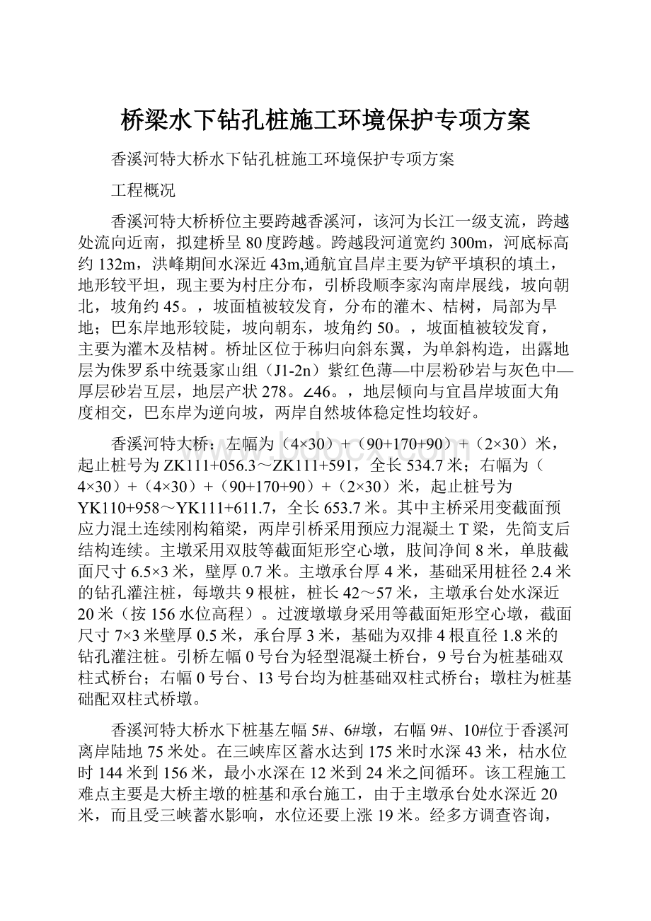 桥梁水下钻孔桩施工环境保护专项方案.docx_第1页