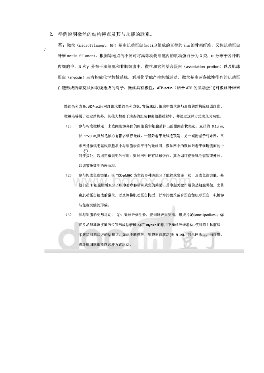 细胞骨架与细胞运动思考题答案.docx_第2页