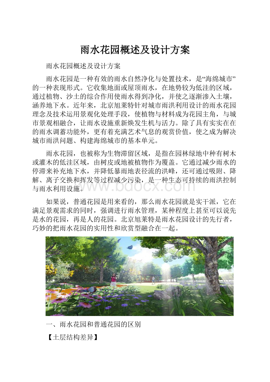 雨水花园概述及设计方案.docx_第1页