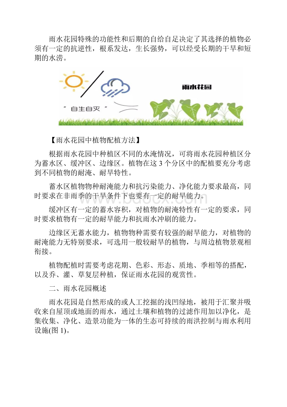 雨水花园概述及设计方案.docx_第3页