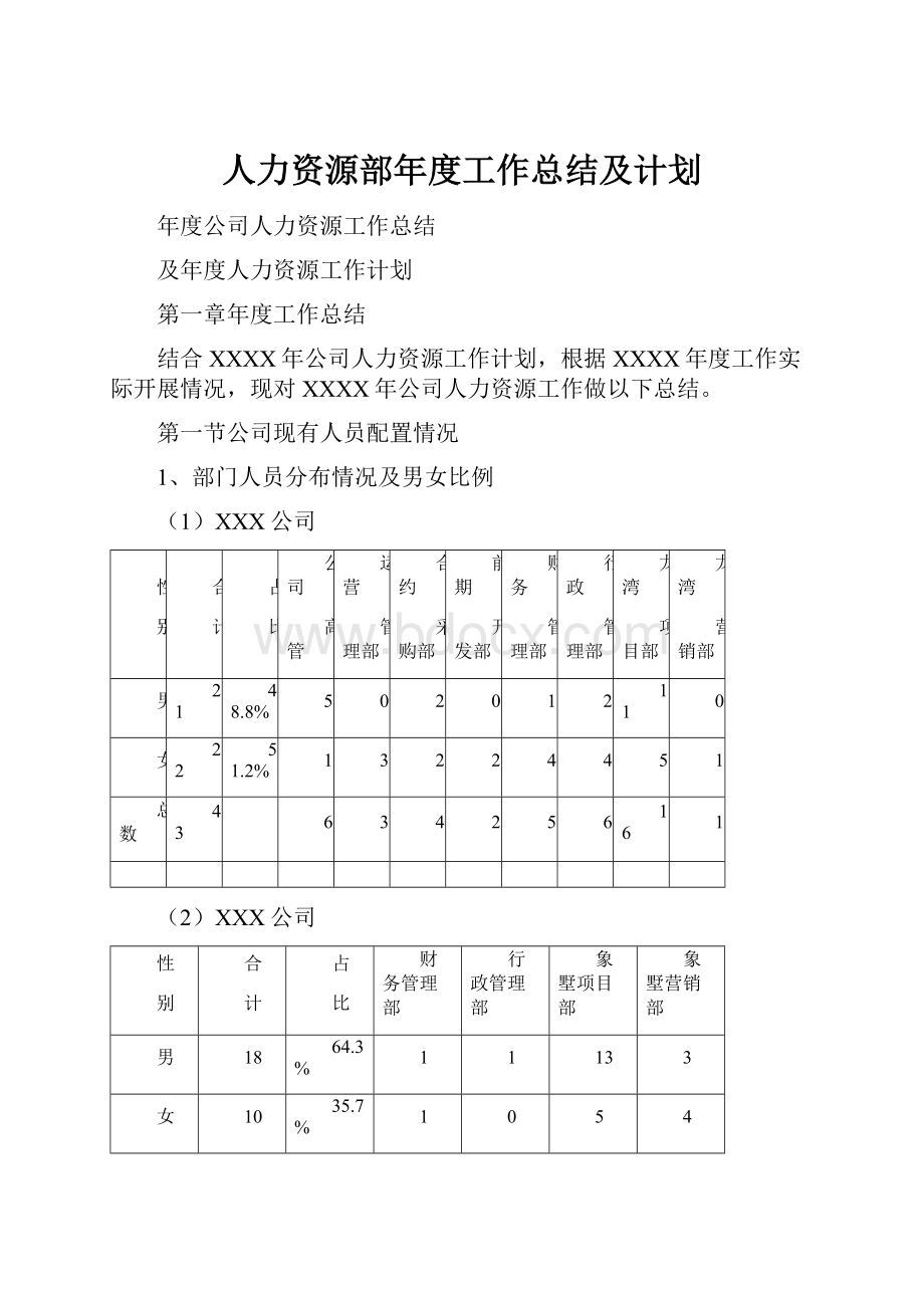 人力资源部年度工作总结及计划.docx_第1页