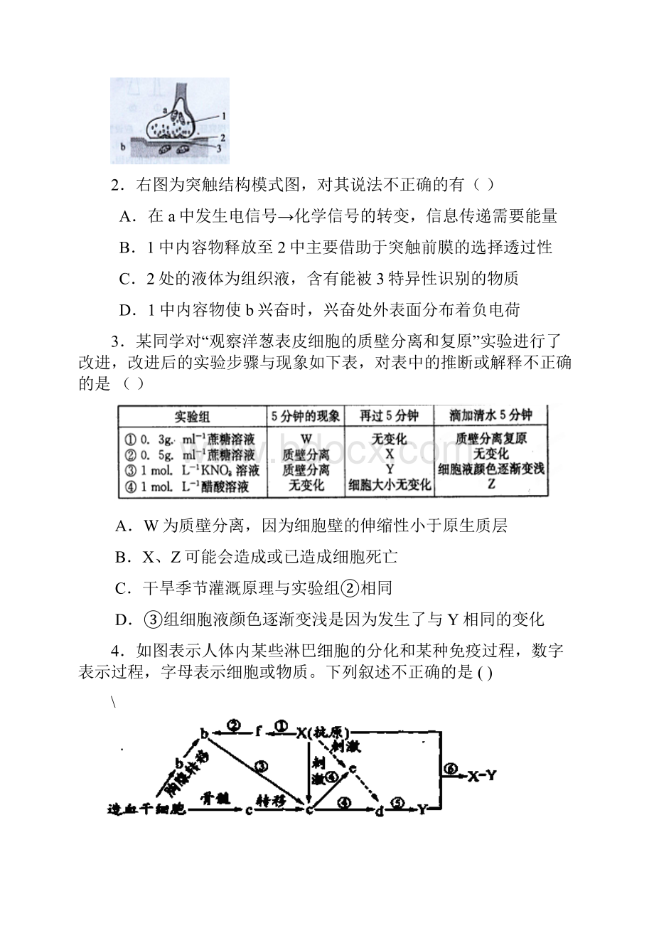 河北省唐山市开滦二中届高三上学期期中考试理综试题 Word版含答案.docx_第2页