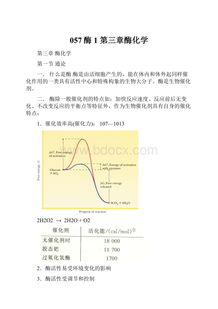 057酶1 第三章酶化学.docx_第1页