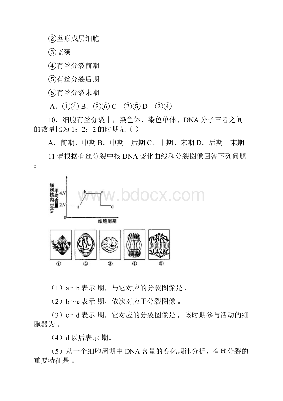 细胞增殖练习题与答案.docx_第3页