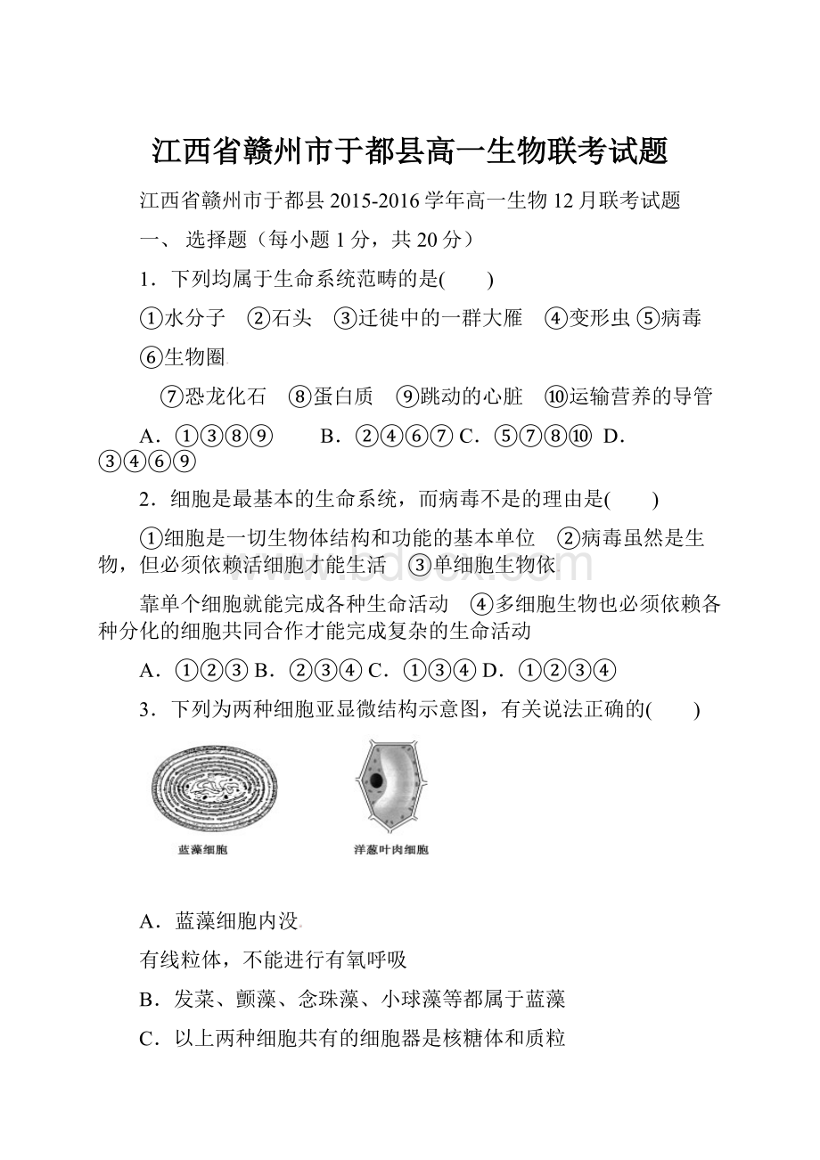 江西省赣州市于都县高一生物联考试题.docx_第1页