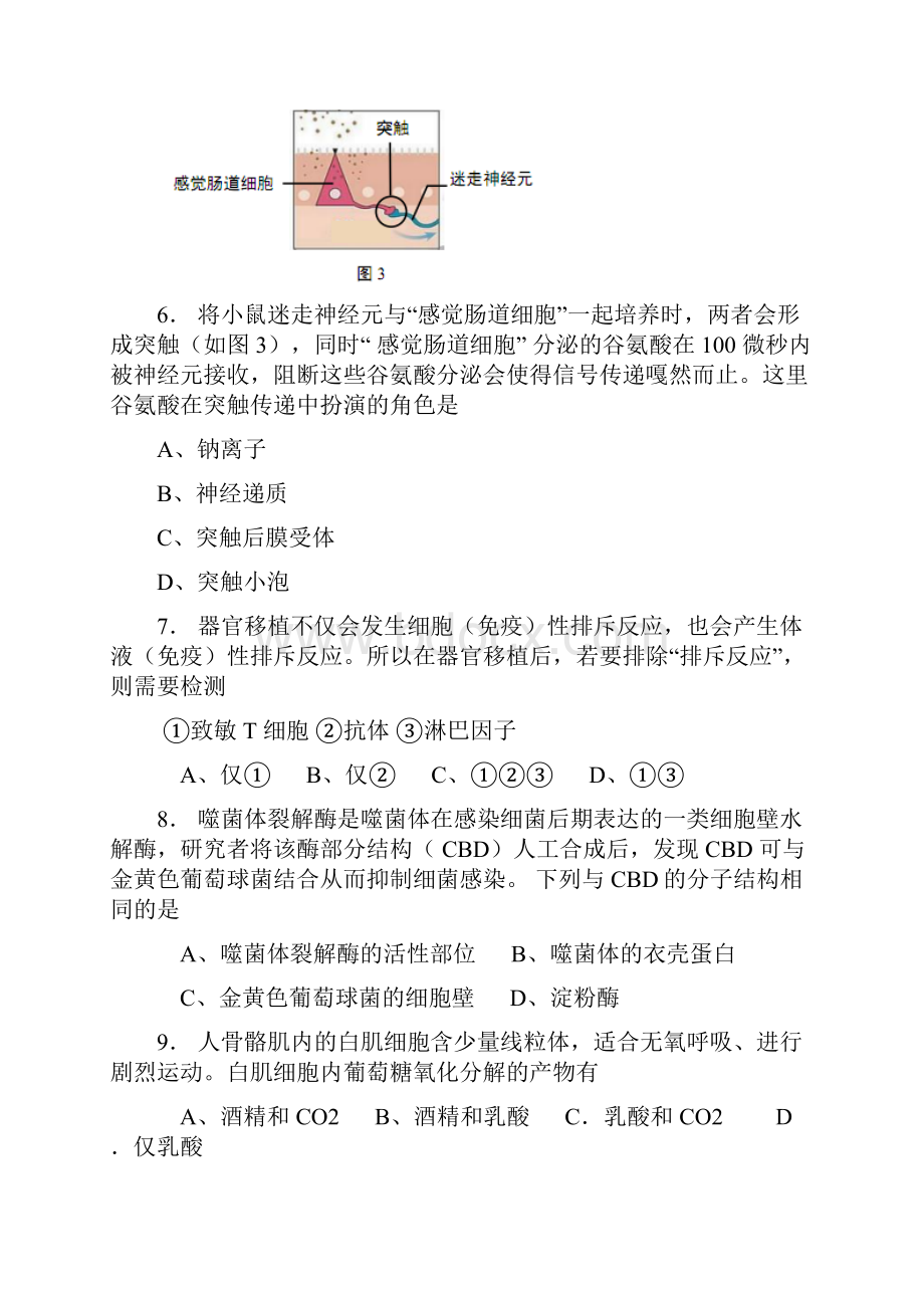 推荐崇明区高二高三第一学期期末一模学科质量检测生物试题及答案.docx_第3页